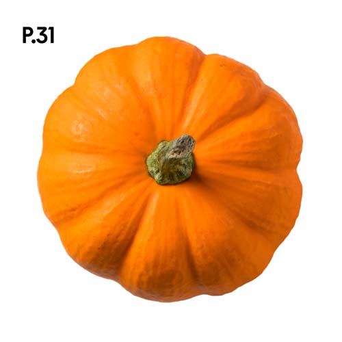 Přírodopis_motiv31.jpg Přírodopis_motiv31.jpg